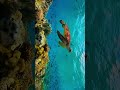 Beauty of Earth 🌍 #shortsfeed #trending #trendingshorts #earth #gangstersparadise