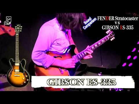 fender-stratocaster-vs-gibson-es-335-guitar-comparison