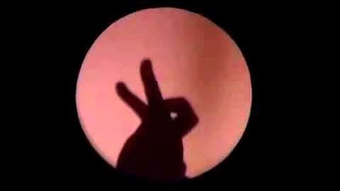 Raymond Crowe - What A Wonderful World [Hand Shadows]