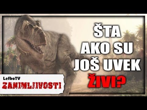 Video: Kako Su Se Pojavili Dinosauri