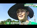 猫のひたいほどワイド #1101 リポート大賞・拓郎「今年も猫ひ田!除草剤の成果はいかに...」(大磯町)
