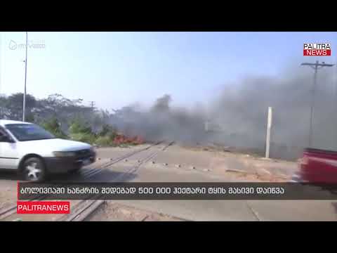 ბოლივიაში ხანძრის შედეგად 500 000 ჰექტარი ტყის მასივი დაიწვა