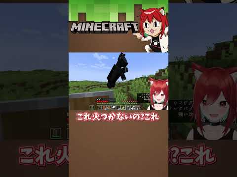 どうしてそれだけないのか疑問なマイクラ初心者Vtuberｗｗ【れべるいち：犬野はる】#shorts