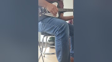 Burny FB85 Firebird Non Reverse om Sale!.