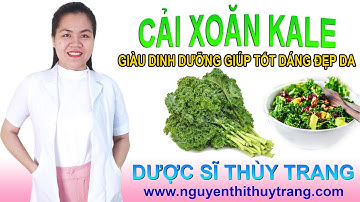 Rau cải xoăn kale rất giàu vitamin và chất xơ bạn đã biết?