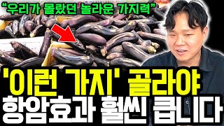 값싸고 구하기 쉬운 최고의 항암식품 가지! 암환자에게 탁월한 항암성분 많은 가지 고르는 법 & 극대화 시켜 먹는 방법 I 암이 사라지는 항암식탁