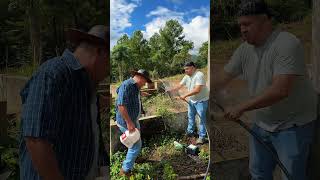Agua de tubo