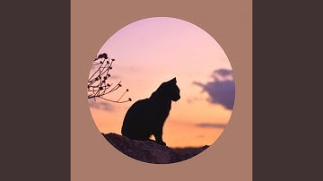 Pulsating Sitting Back Cats