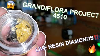 GRANDIFLORA PROJECT 4510 | LIVE RESIN DIAMONDS | MUST WATCH!!!