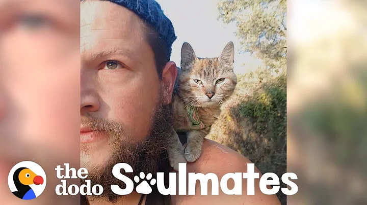 Guy Biking Across the World Picks Up a Stray Kitty...