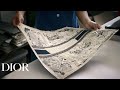 Toile de Jouy Dior Book Tote savoir-faire: vidéo