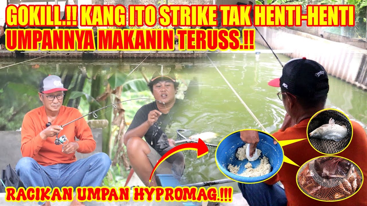 GOKILL.!! KANG ITO STRIKE TAK HENTI-HENTI || UMPANNYA MAKANIN TERUS.!!