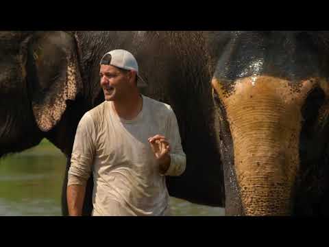 Vídeo: Onde ver elefantes na Índia: 4 lugares éticos