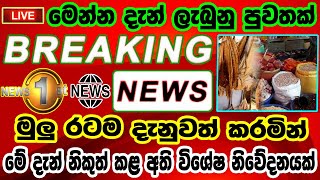 Breaking News|Sri Lanka News Today|Breaking News Today|News 1st|Hiru Tv live|Ada Derana|Sirasa News