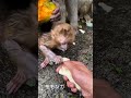 人間から赤ちゃんを守る為に引っ張ってると思うんだけど…ね〜