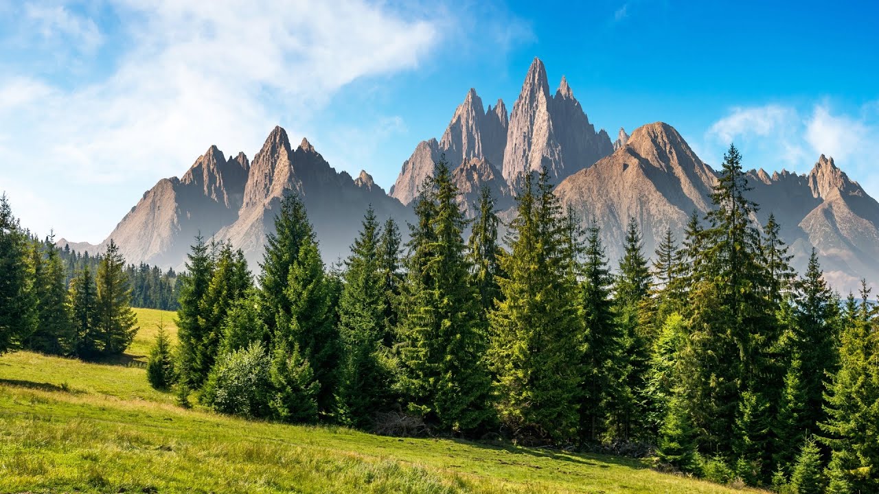 Watch 10 Hours of Relaxing Music - Sleep Music, Piano Music for Stress Relief, Sleeping Music (Liam) on YouTube Watch 10 Hours of Relaxing Music - Sleep Music, Piano Music for Stress Relief, Sleeping Music (Liam) on YouTube