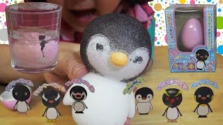 水の中で大きくなるよ！ペンギンのたまご ペン玉 / Penguin Egg Toy