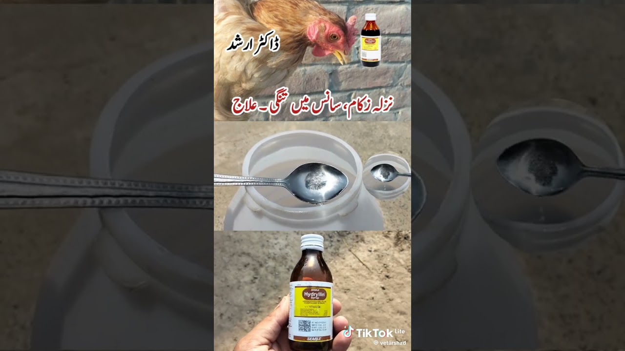Birds me nazla. Zukam ka ilaj information video