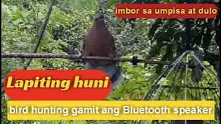 Lapiting huni ng alimukon 6 minutes imbor sa umpisa at dulo