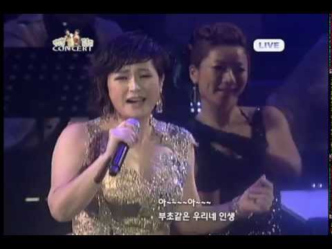 부초같은 인생 - 김용임 (라이브 실황) - Youtube