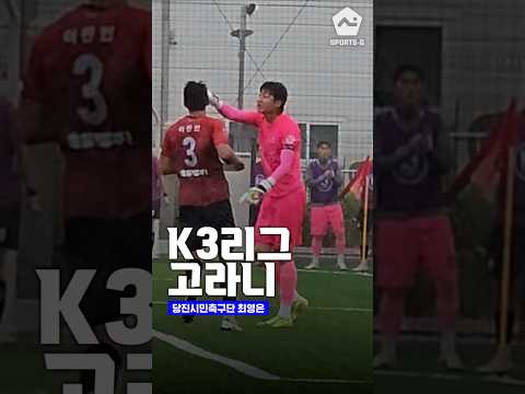 당진의 고라니 최영은