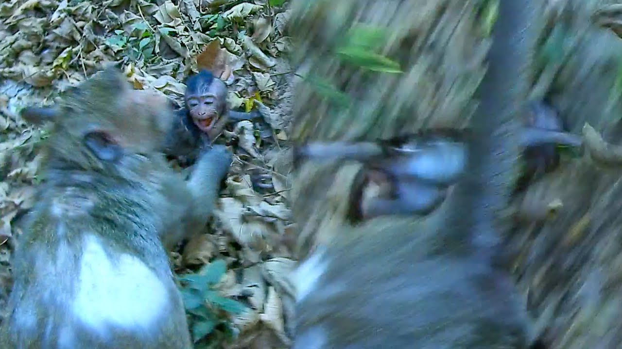 No motherhood..Mom Jazzy felt her kid from high stone careless but she blamed sister Jonna.