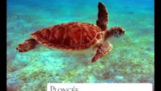 Vacances Sous Voiles - Location de voiliers - British Virgin Islands