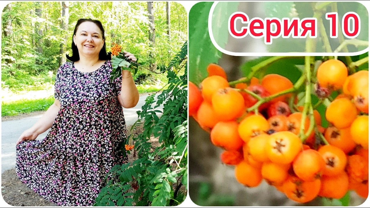 10 серия. Гуляем по Нижнему Тагилу. Сняли квартиру для отдыха.