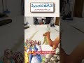2 قصة ناقة سيدنا صالح عليه السلام في دنيا الإسلام
