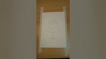 Simple Tree Drawing Tutorial #drawing #art #sketch #tutorial #tree
