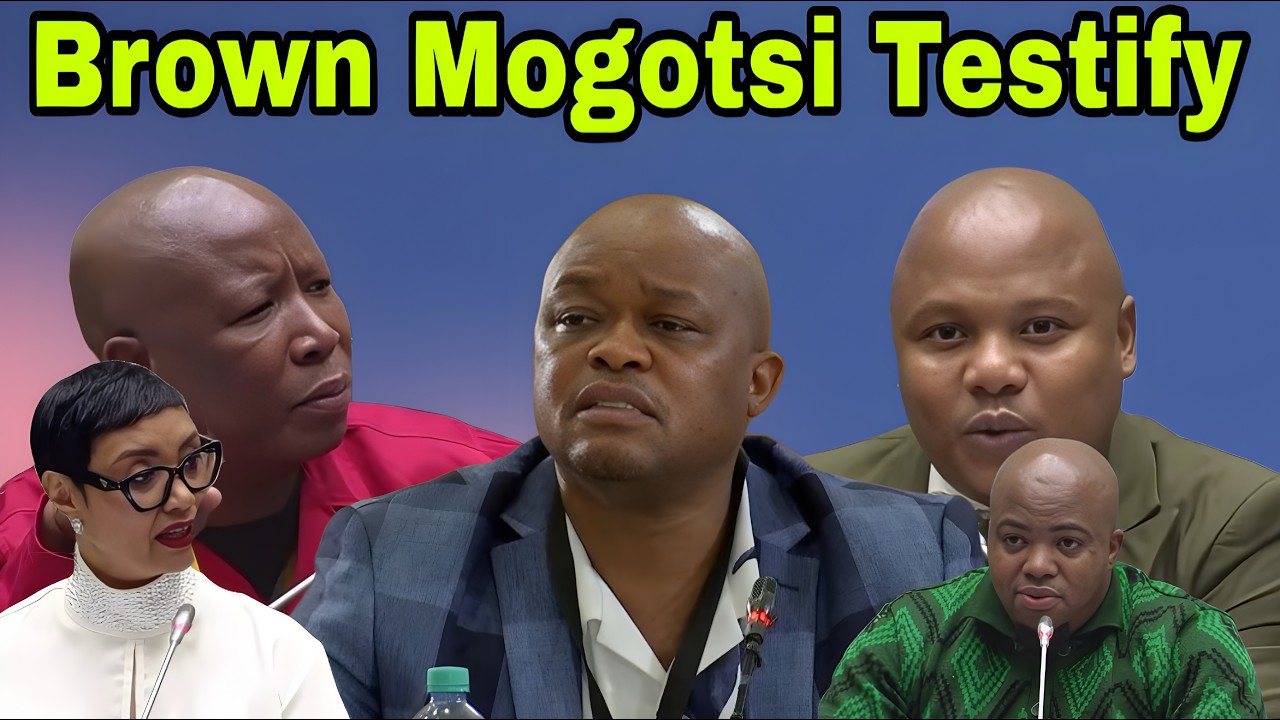 Brown Mogotsi testifies at Ad Hoc Committee.