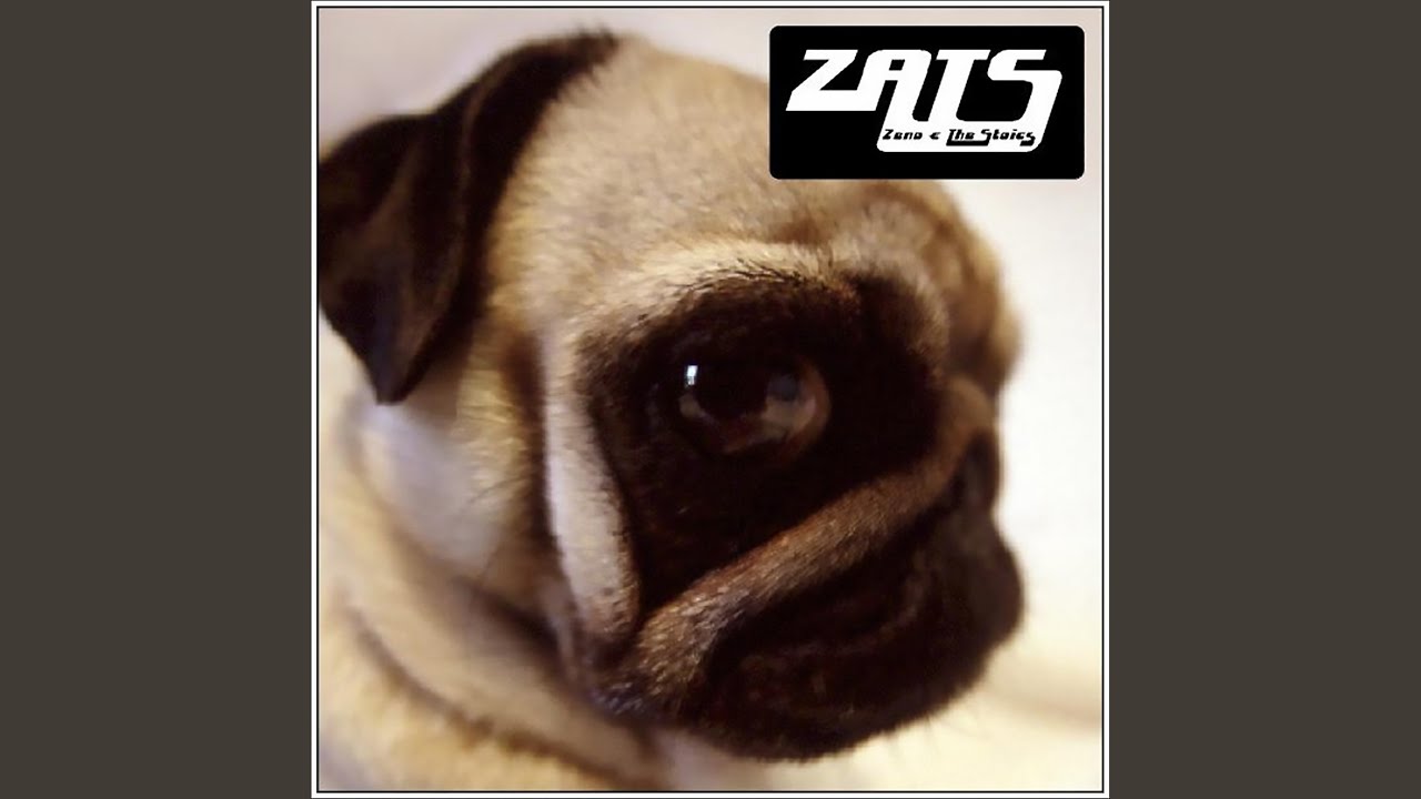 Rats in the Fridge YouTube