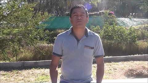 Estructura Selectiva Simple y Doble