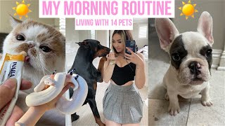 MORNING ROUTINE LIVING WITH 2 DOBERMANS (plus my other 12 pets)