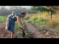 Mai au jardin  canicule plantations travaux  rallye maya  slow life dans la campagne mexicaine