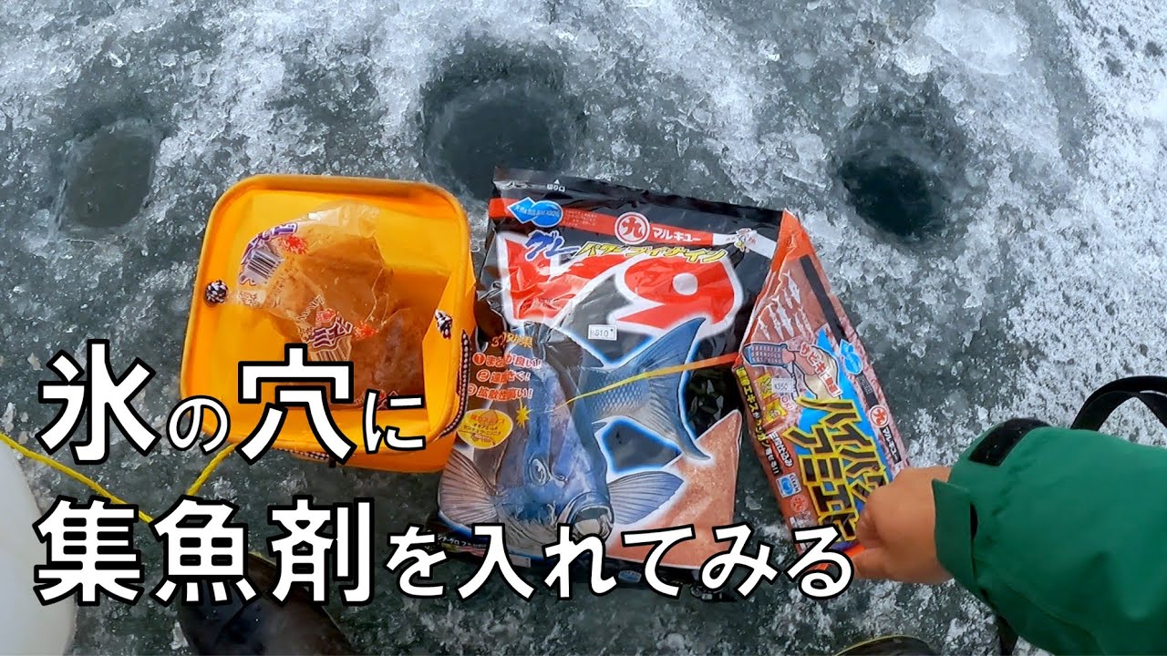 氷の下に超珍しい外来魚が大集結したので釣ってみた