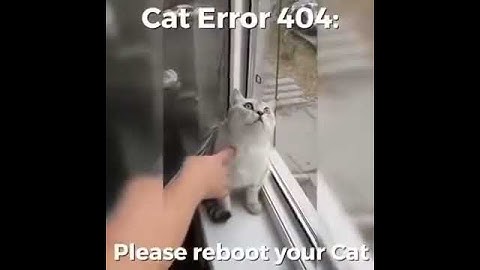 Reboot your cat