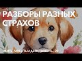 Программа самотерапии и пробуждения - 29 | РАЗБОРЫ НА ОНЛАЙНЕ