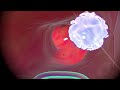 MagicBus - individualVideo