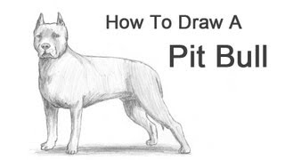 Visit http://www.how2drawanimals.com or my channel for more animal
drawing tutorials and don't forget to pause the video after each step
draw at your own ...