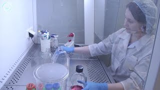 Заражать онкобольных вирусом Зика предложили сибирские учёные