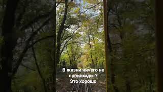 мудрость жизни #цитатыосмысле #цитатыпрожизнь #позитив