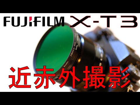 Fujifilm X-T3 近赤外撮影テスト(X-Trans CMOSの近赤外感度テスト）