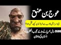 Who was auj bin anaq  complete history of world tallest man      info at adil