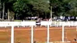 Final Da Vaca Gorda...rodeio D Tres De Maio 2010