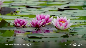 تلاوة عراقية حزينة ومؤثرة بصوت القاريء هژار محمد/أواخر سورة الروم بمقام البيات