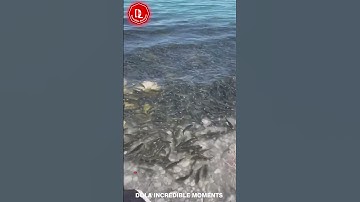 Incredible Moments Caught on CCTV Camera #20