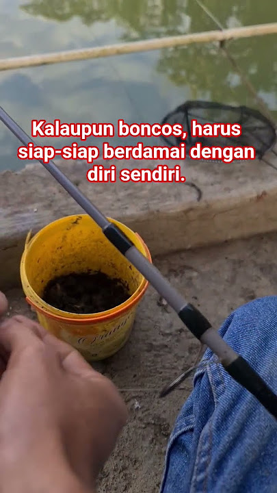 pemancing dituntut harus bisa berdamai dengan diri sendiri. #mancing #fishing #shorts #viral #mangu