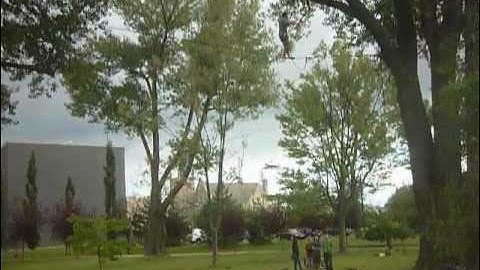 Highline in the trees !!! SlackLife