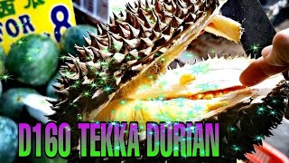 DURIAN HUNTING (Pahang Durian Season)D160 TEKKA.. DURIAN HUNTING (Pahang Durian Season)D160 TEKKA..